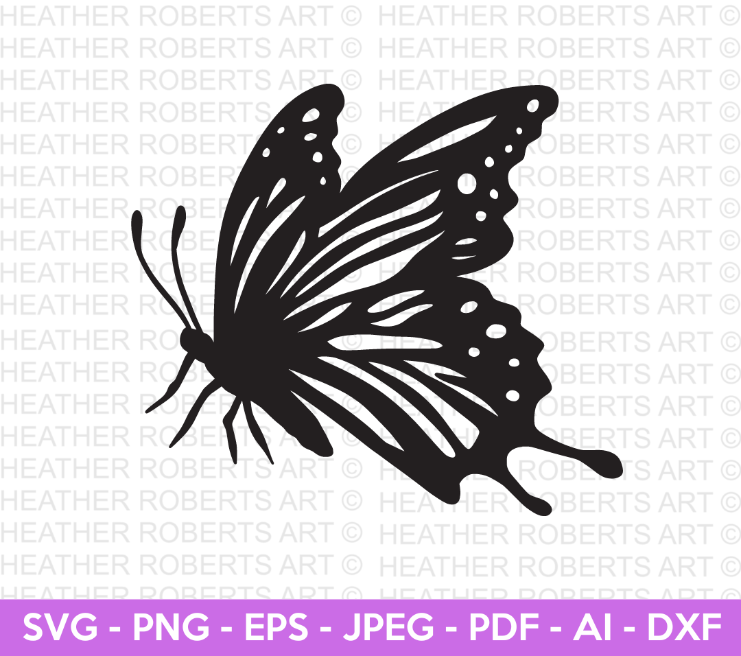 Butterfly SVG