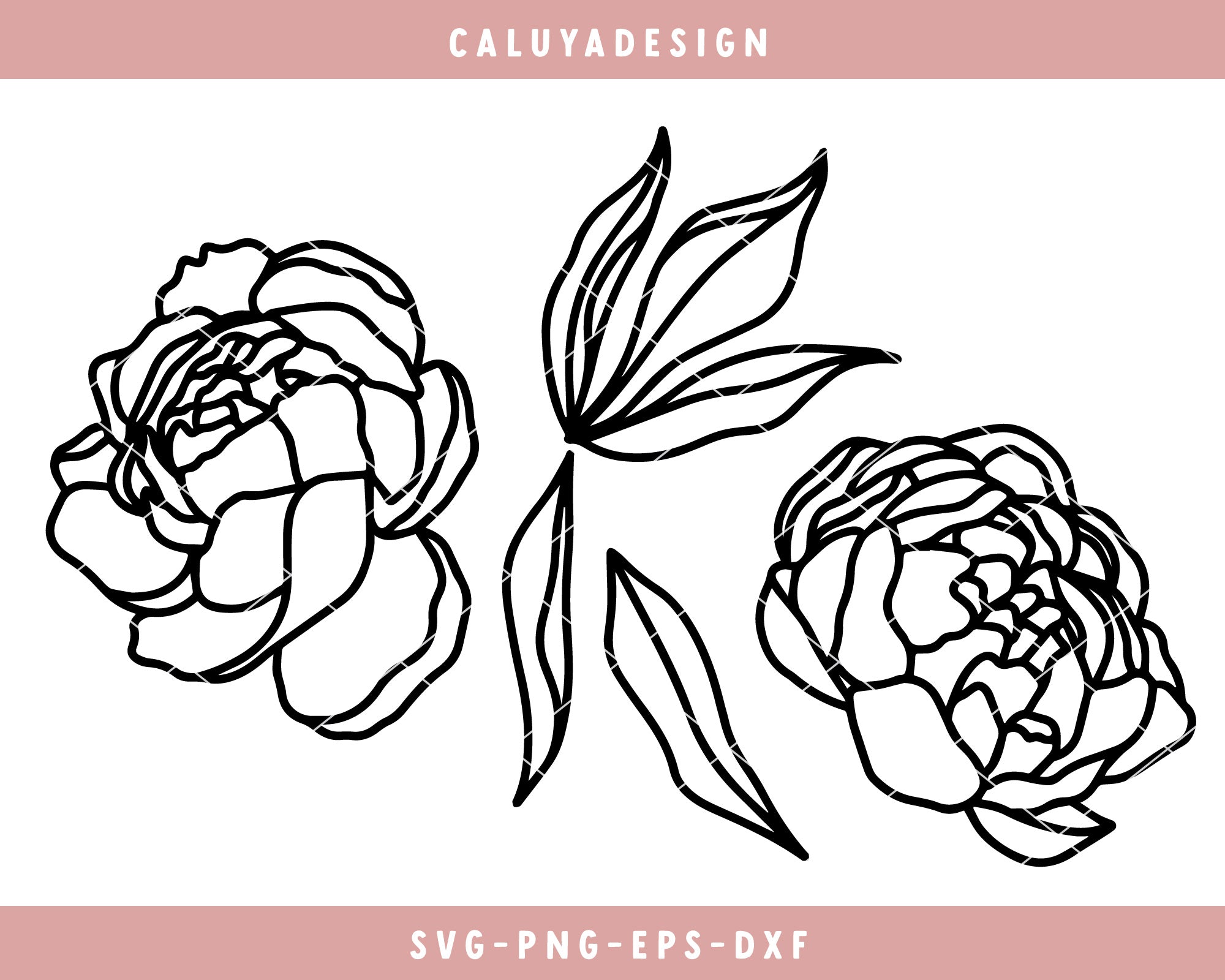 Hand Drawn Peony SVG