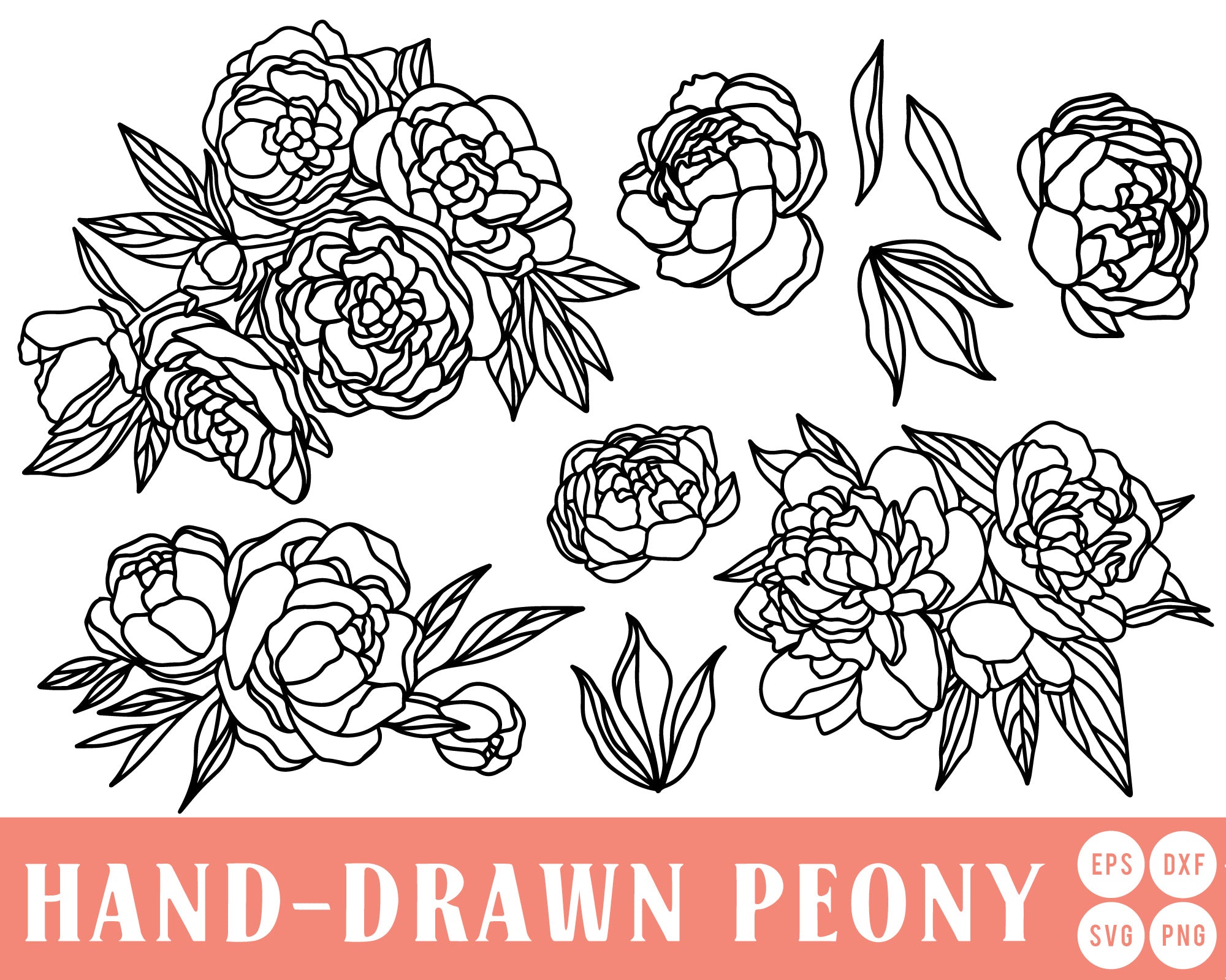 Hand-drawn Peony SVG Mini Bundle
