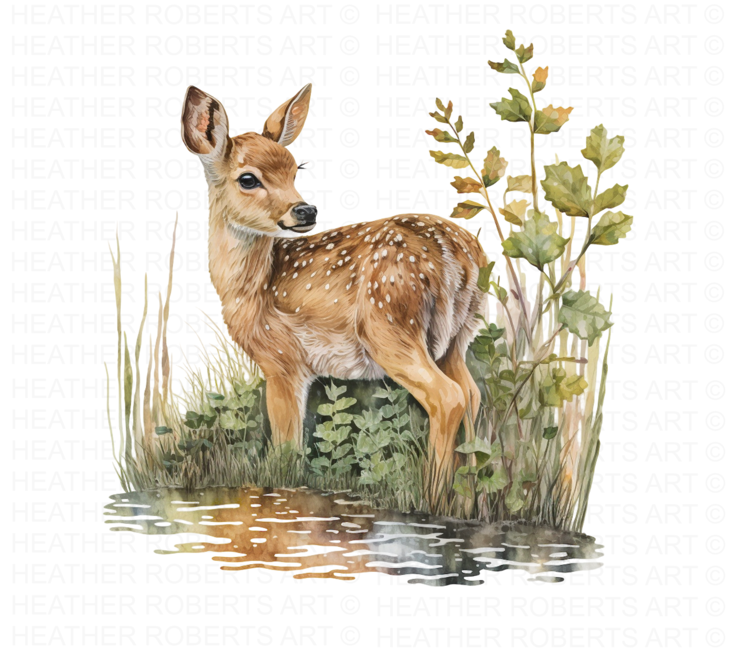 Watercolor Fawn Clipart Set